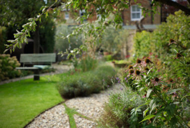 Blurred shot through a tree to a sage green bench in the background