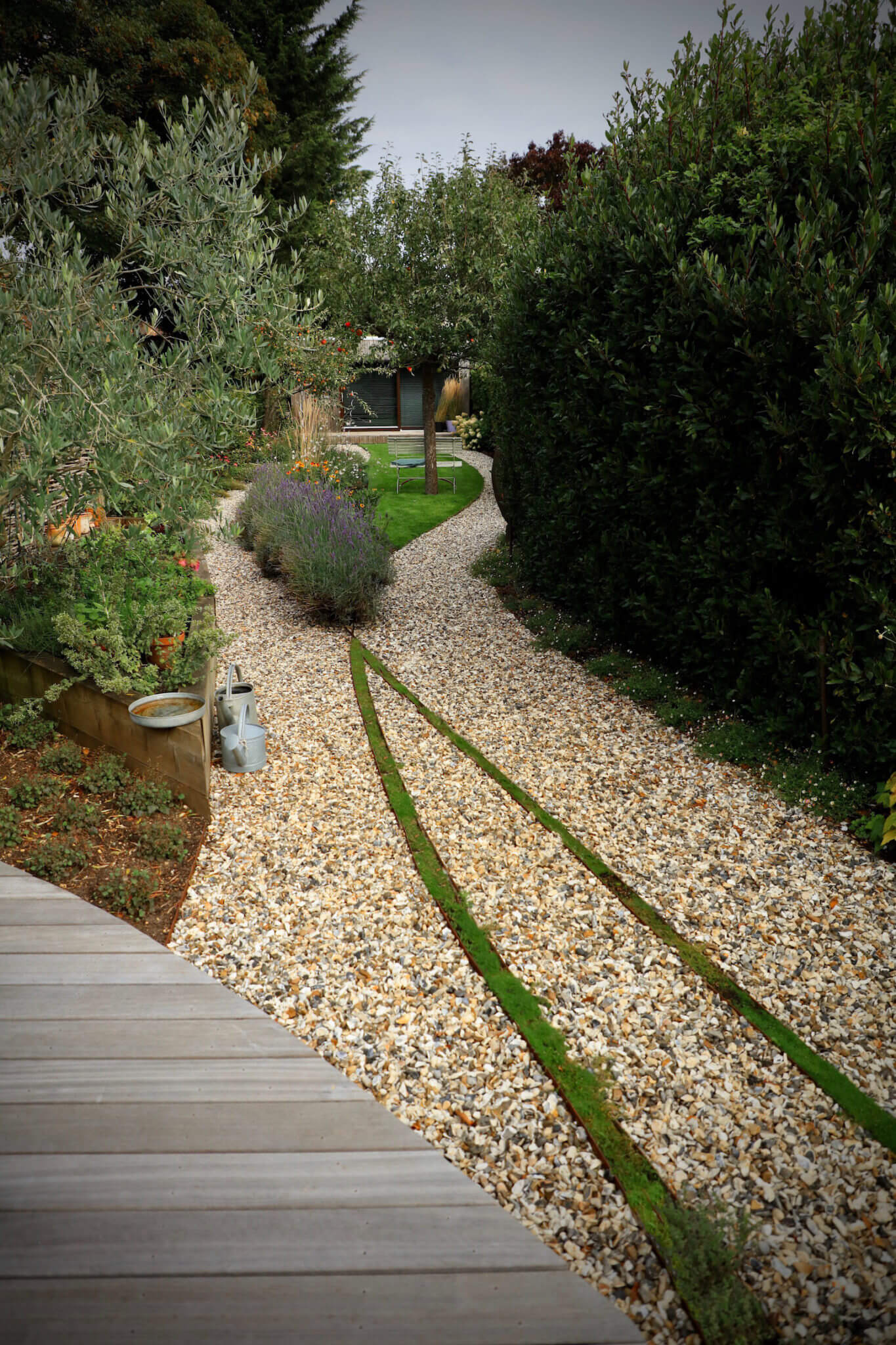 Over head shot of stone pathway and lavender bushes