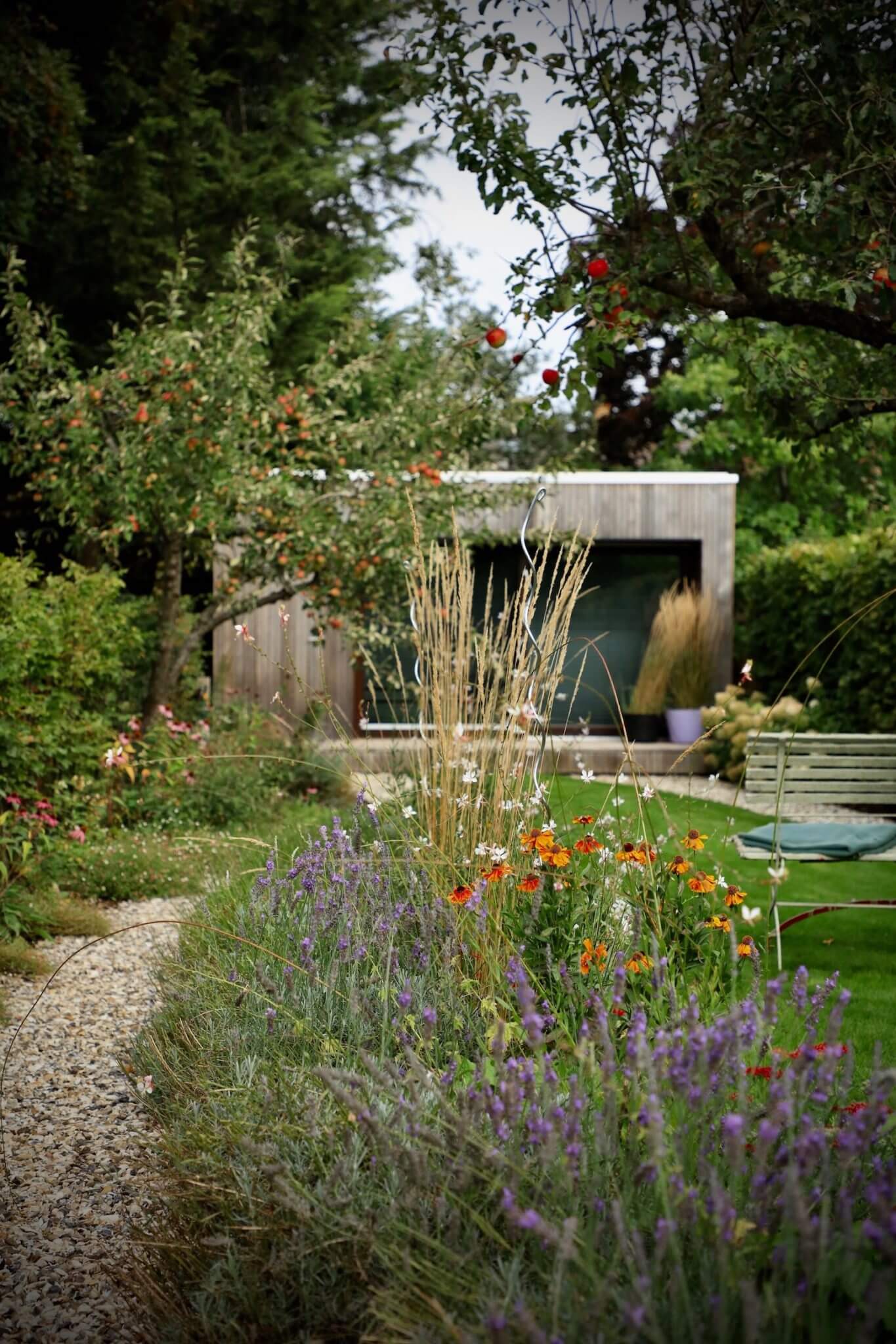 Close up shot of wild flowers growing in cut flowers garden