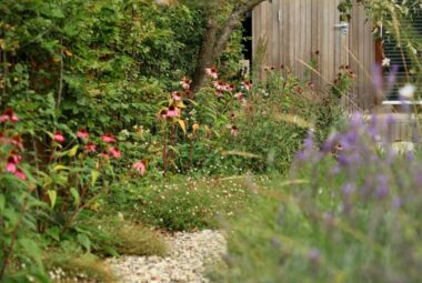 Border of plants with pink echinacea growing under an apple tree