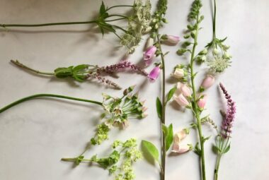 cut wildflowers set out on a table all in pastel colours