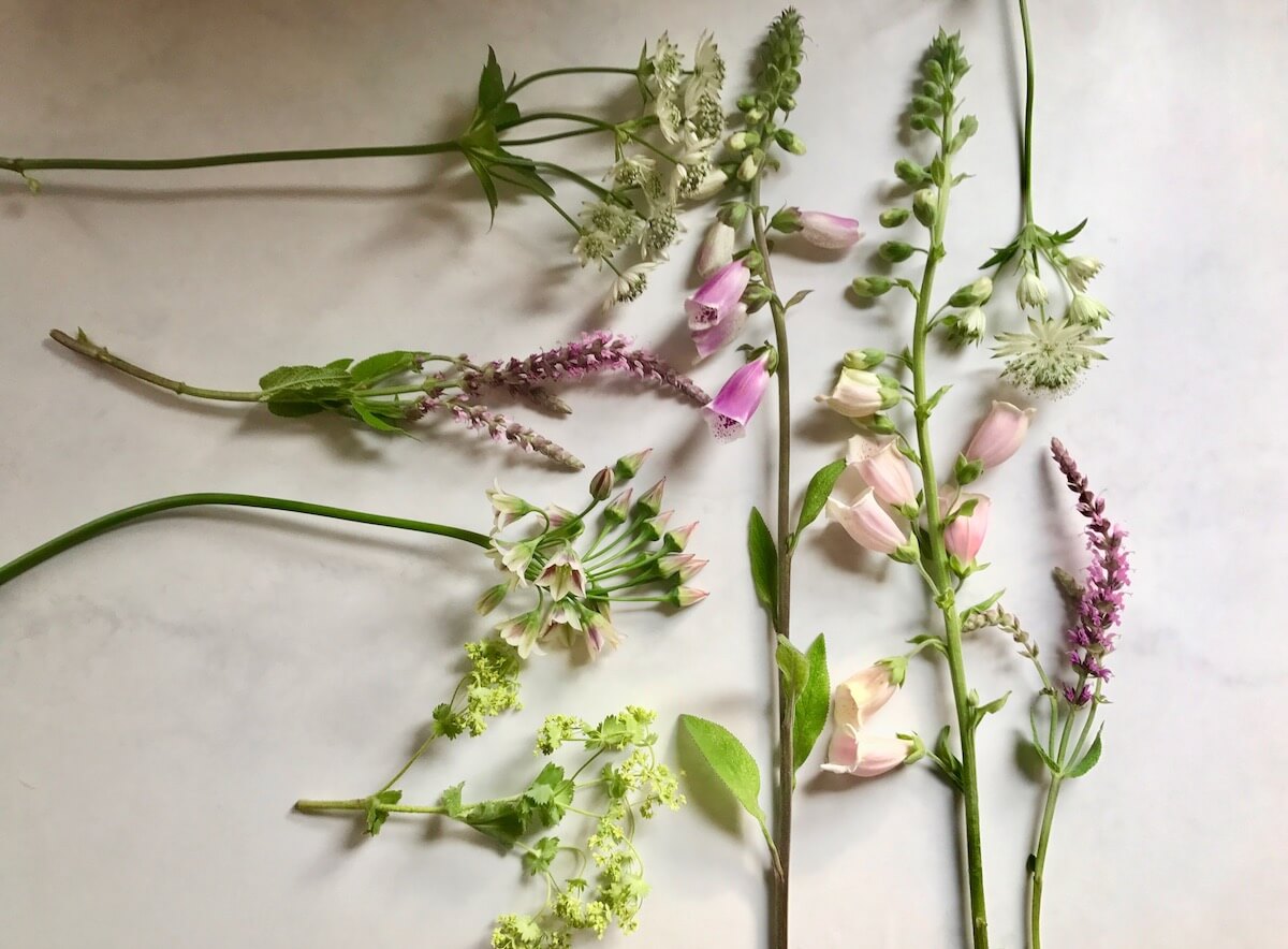 cut wildflowers set out on a table all in pastel colours