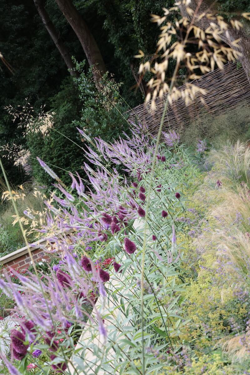 modern prairie style perennial planting in pastels