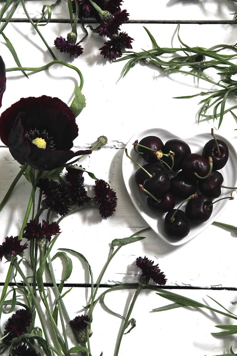 cherry black flowers on white floorboards