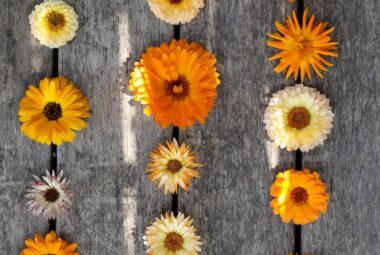 calendulas on a wooden table