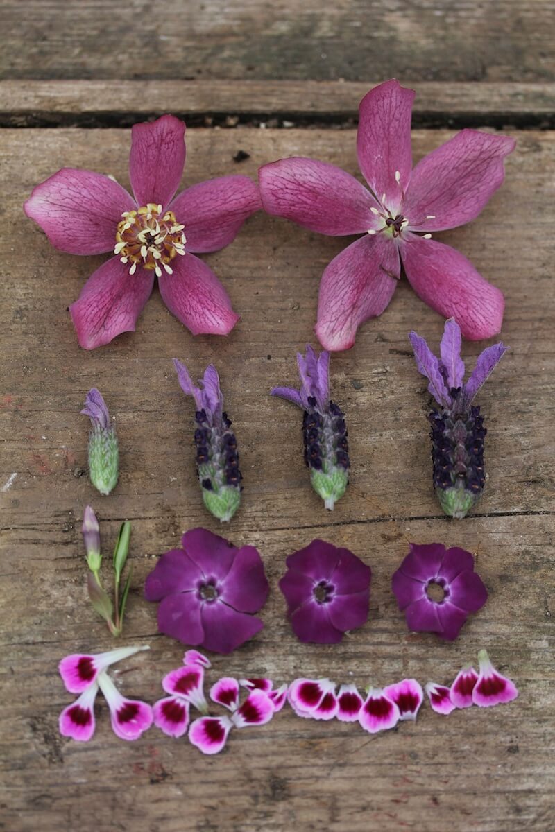 march cut flower heads on a wooden table