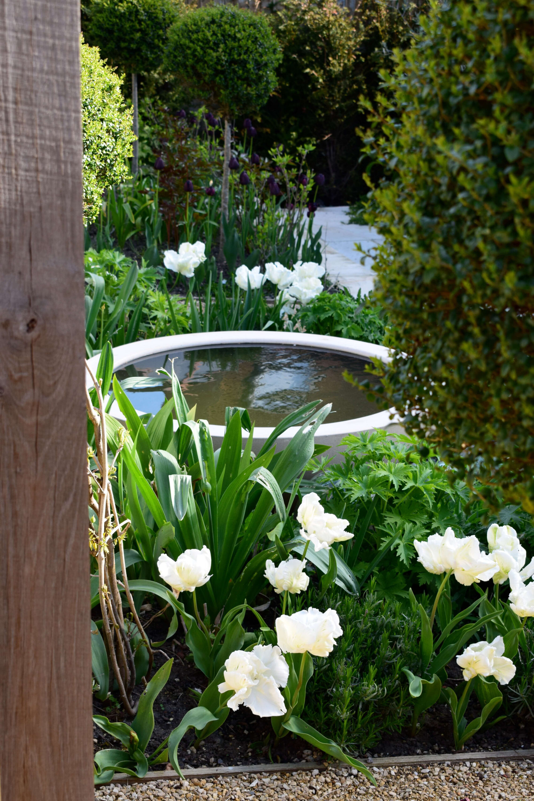 water bowl feature in a small green designed garden