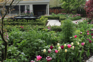 Productive flower beds filled with cut flowers