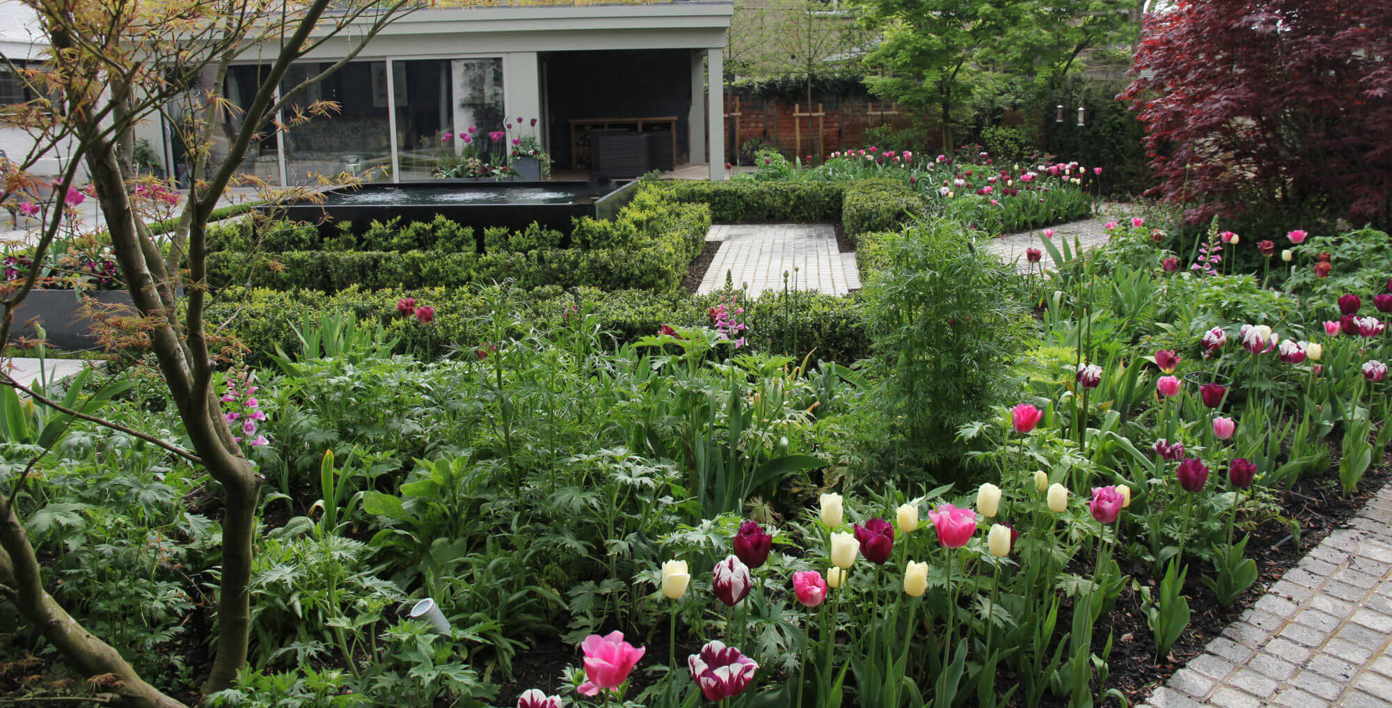 Productive flower beds filled with cut flowers