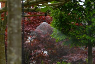 mist irrigation system hidden between trees in witney garden