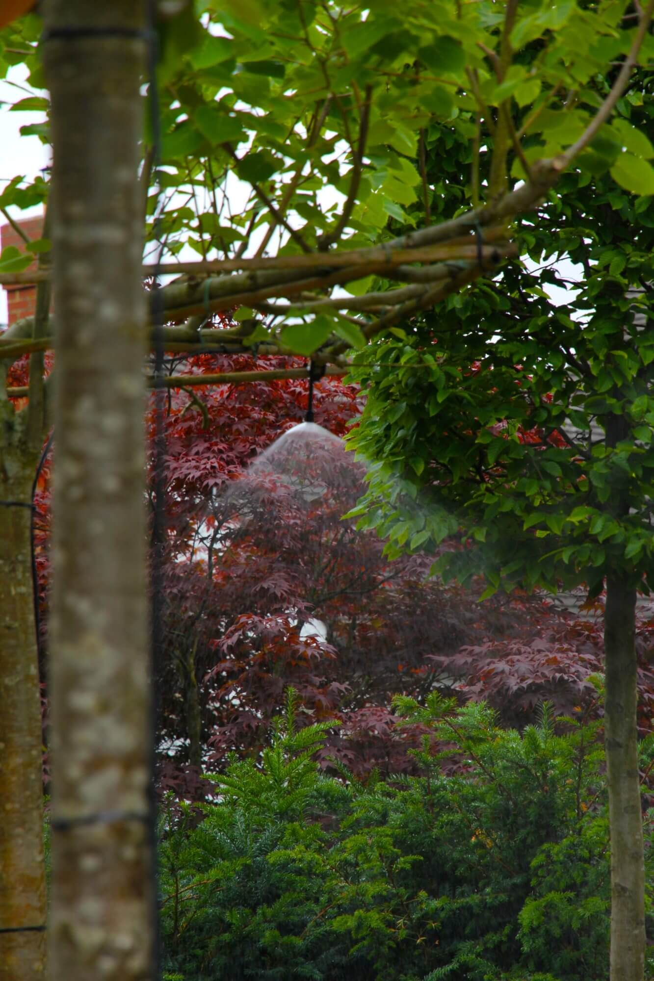 mist irrigation system hidden between trees in witney garden