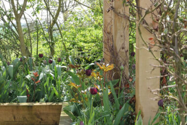 pergola and flowers