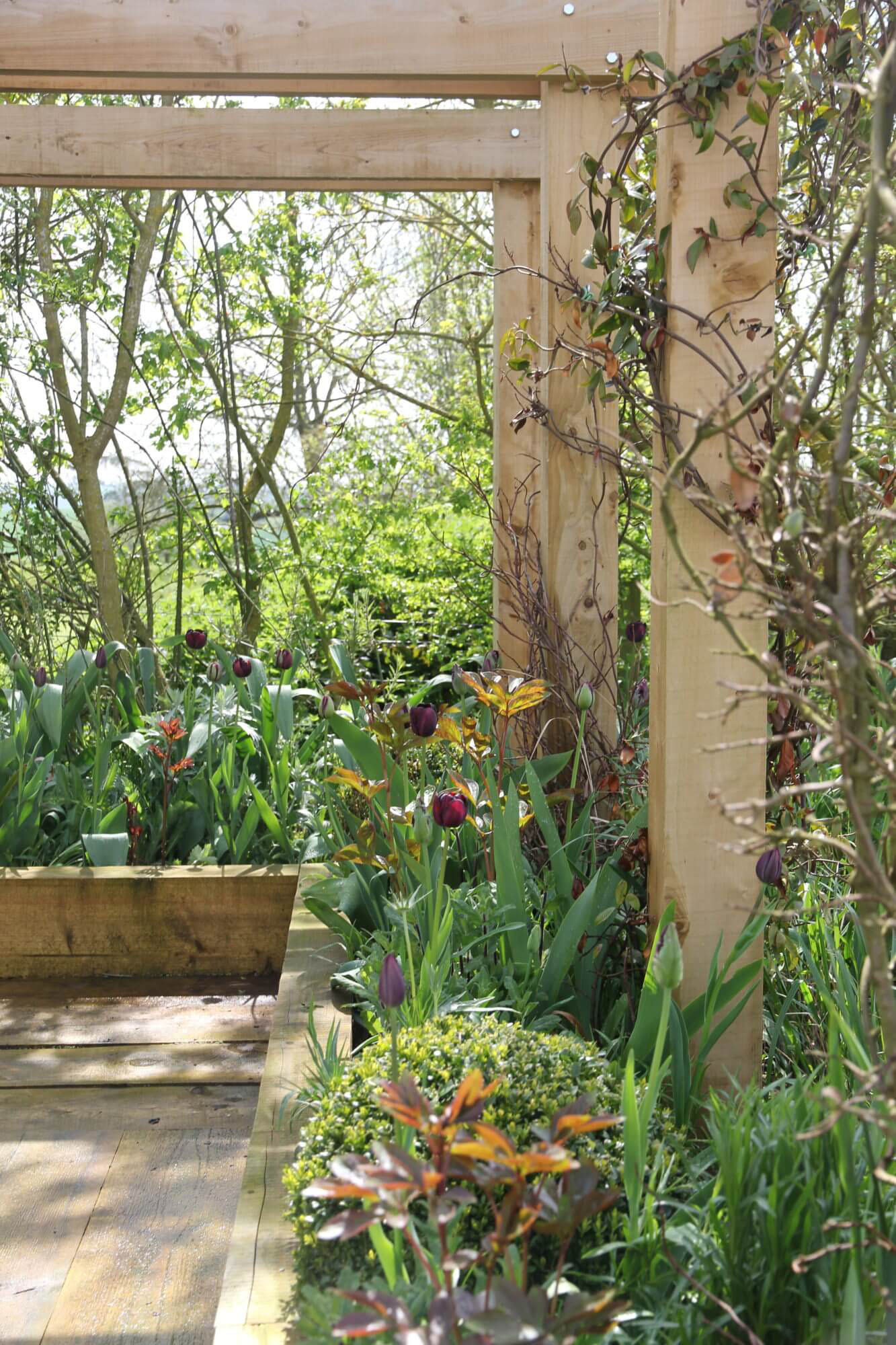 pergola and flowers