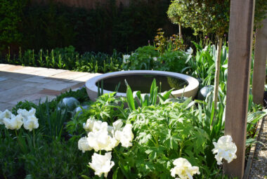 Water bowl feature surrounded by white flowers