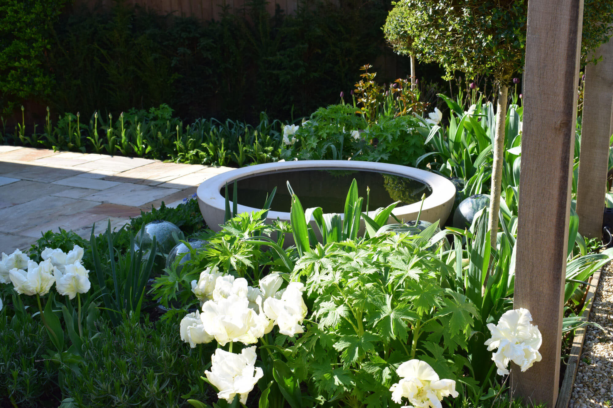 Water bowl feature surrounded by white flowers