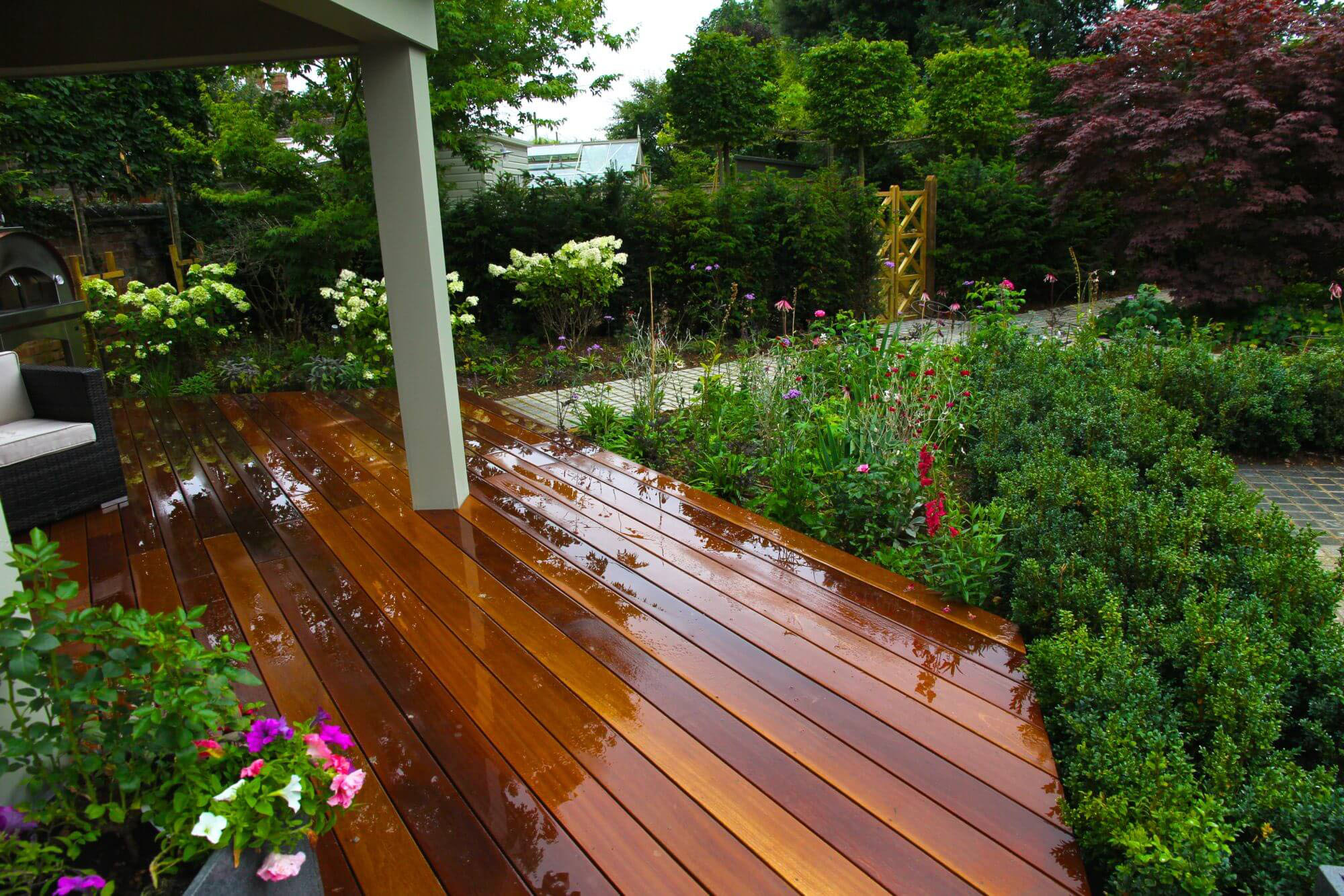 Wooden garden decking straight after rain fall with lush green borders