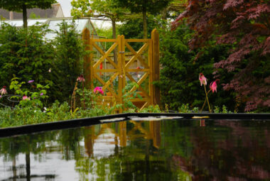 black water pool in garden in Witney with wooden gates and planting