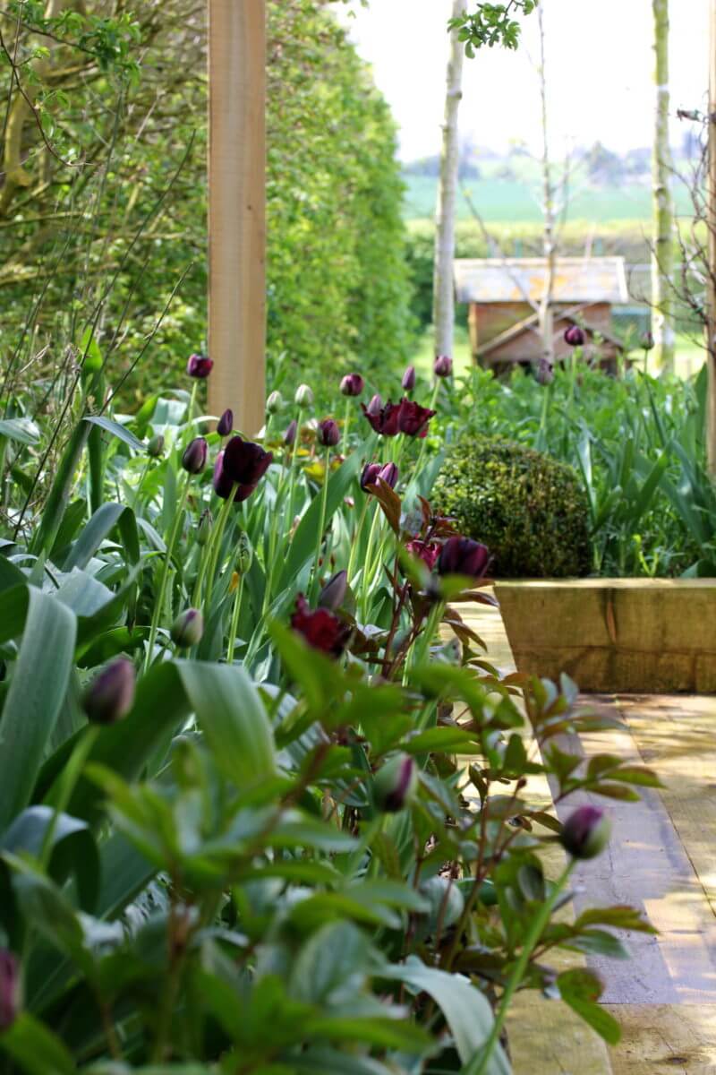 cut flower garden barn patio