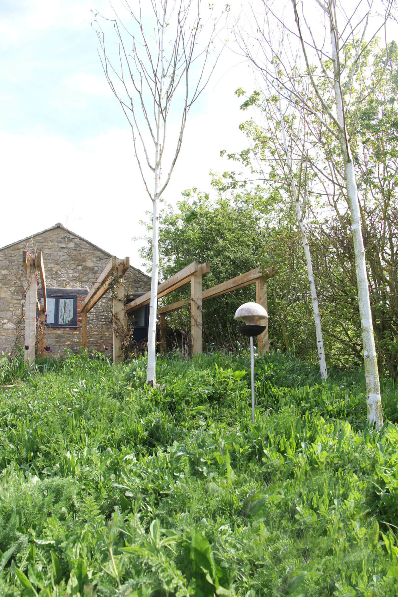 Spring wildflower meadows barn conversion garden