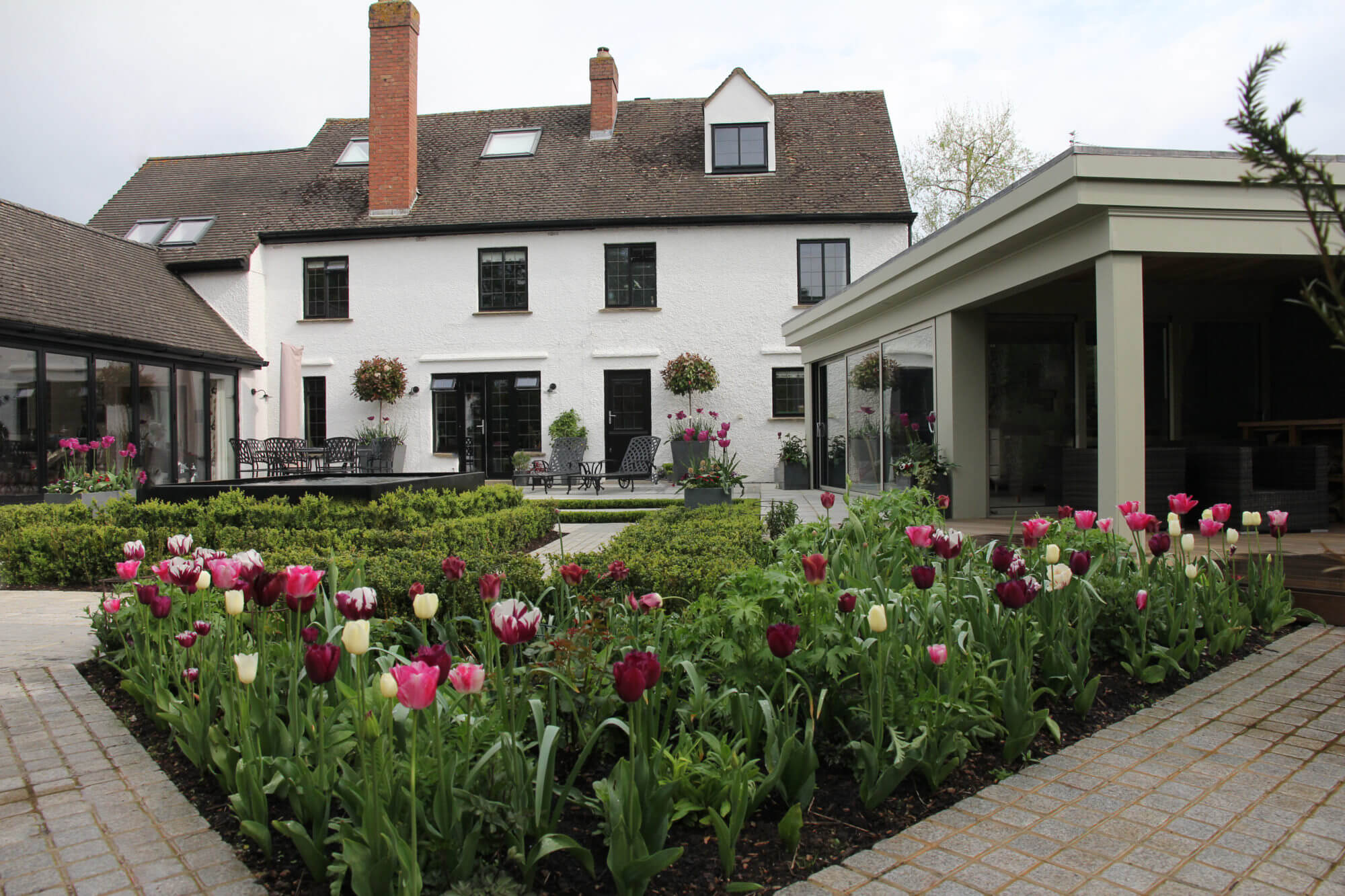 Array of purple and pink tulips in triangular border