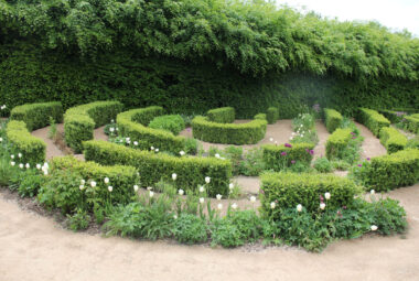 walled garden of Buxus and tulips