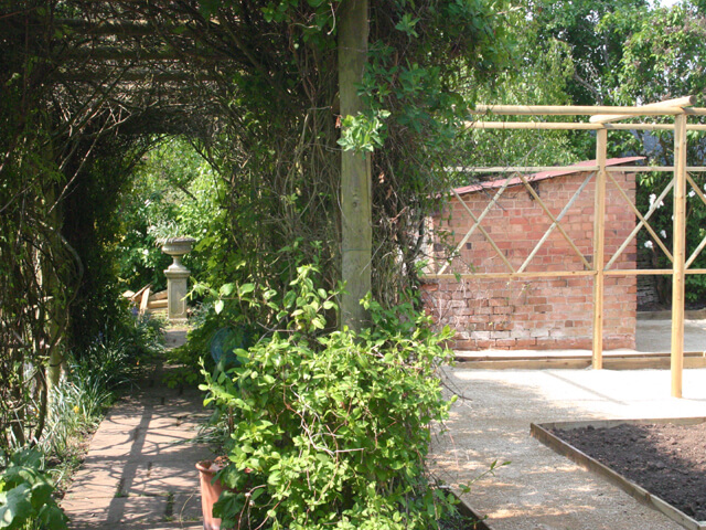 an old garden with a new garden pergola and vines