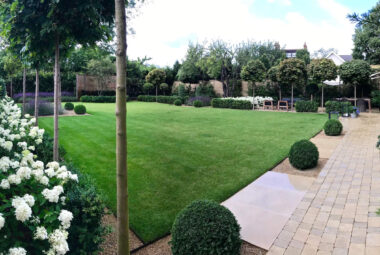 townhouse garden in Oxford fish eye view of lawn