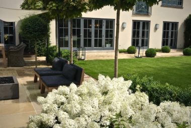 townhouse garden in Oxford pathway with Bo Bo white Hydrangea hedge