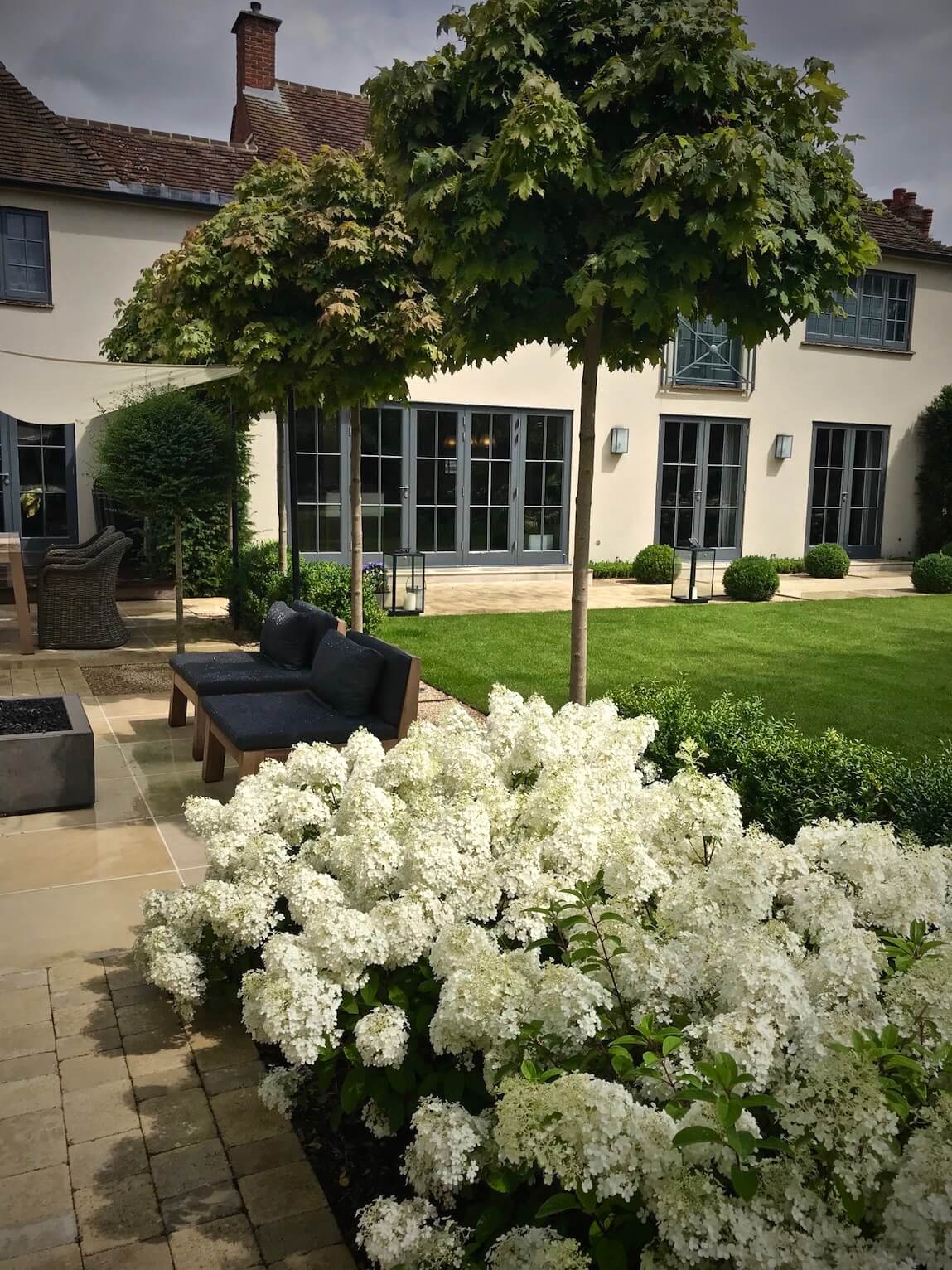 townhouse garden in Oxford pathway with Bo Bo white Hydrangea hedge