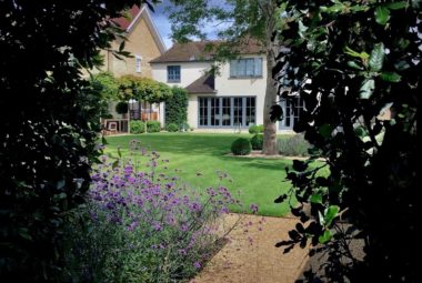 townhouse garden in Oxford viewed through a hole in a hedge