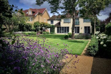 townhouse garden in Oxford with verbena flowers in purple against a gravel path