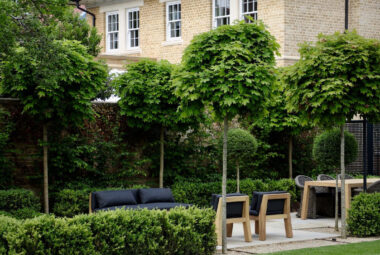 townhouse garden in Oxford with mop head trees and garden furniture