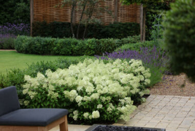 townhouse garden in Oxford white hydrangeas and garden chair