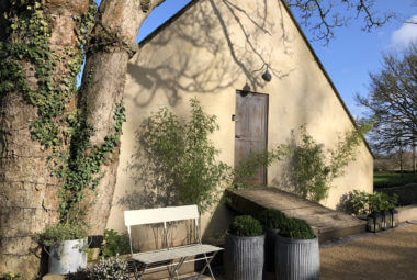 Pointed shaped front of Barn house with planting