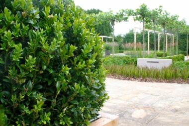 water feature and buxus ball in a Cotswolds landscaped garden