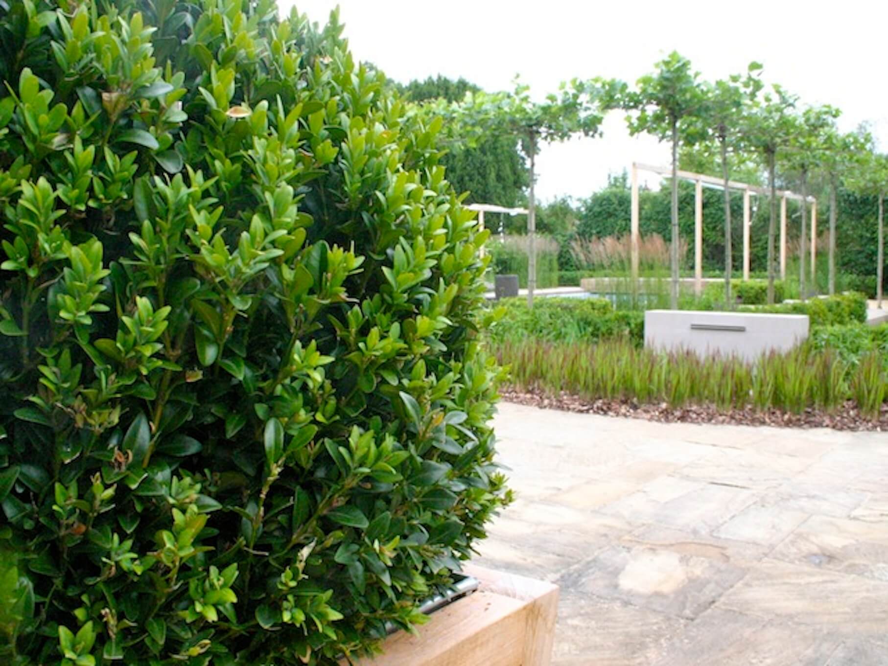 water feature and buxus ball in a Cotswolds landscaped garden