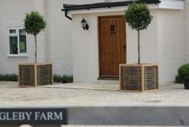 Tudor style front door with window, framed with two lollipop trees in square willow planters