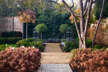 autumn townhouse garden with rusted hydrangeas and cobble path