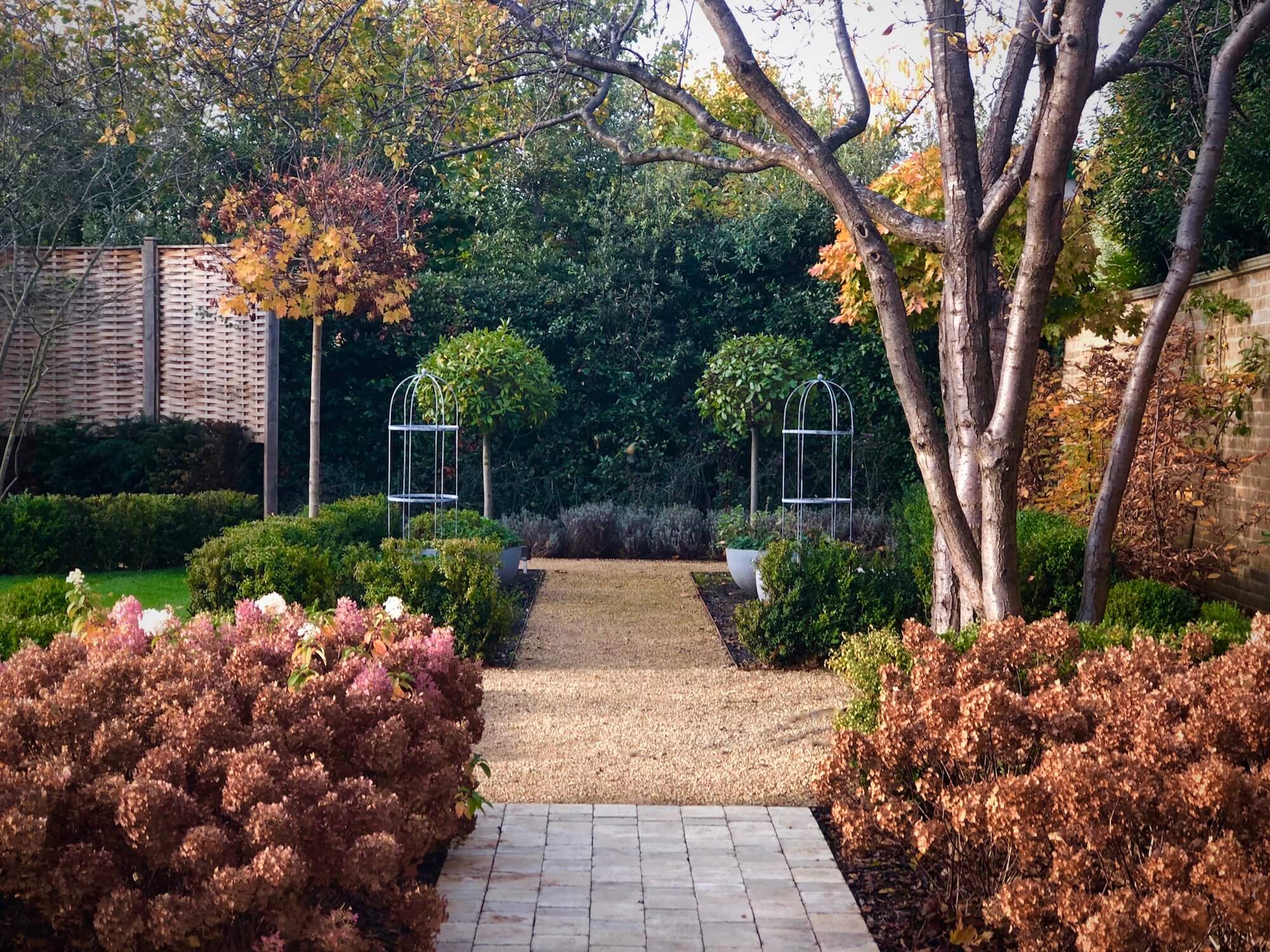 autumn townhouse garden with rusted hydrangeas and cobble path