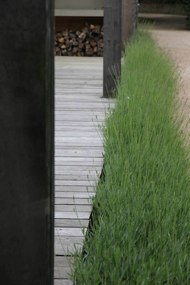 Lavender hedge and hardwood deck