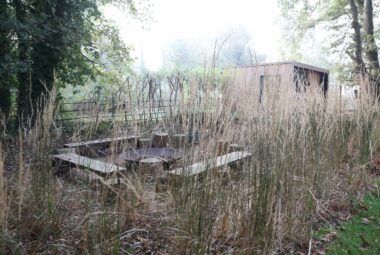 secret fire pit garden