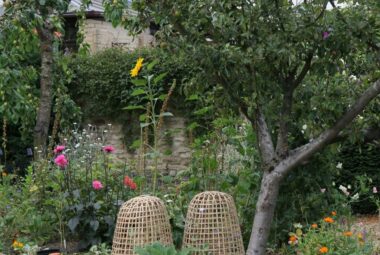 Large apple tree above box hedge