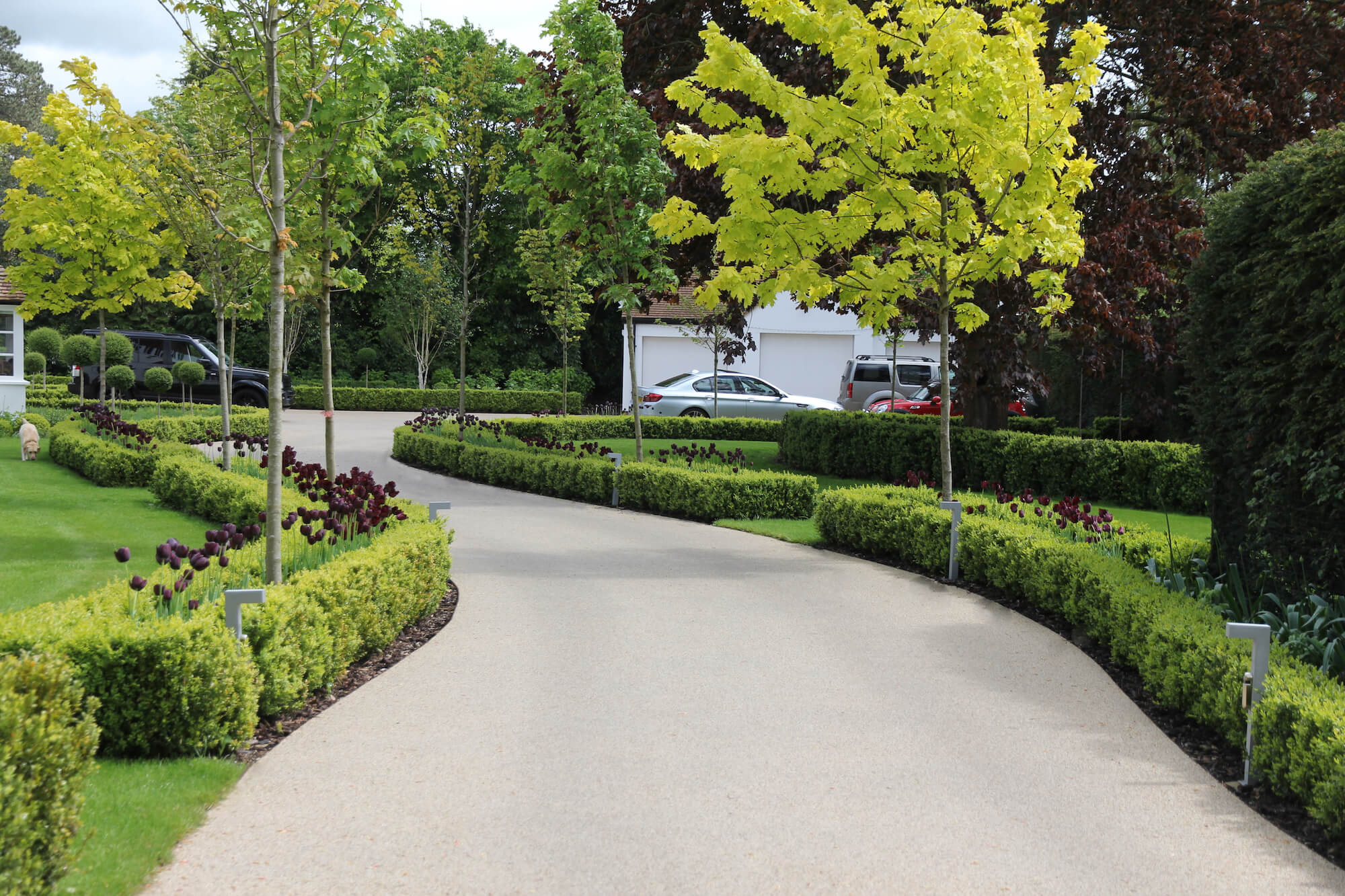 Entrance to cottage in the Cotswold with topiary elements