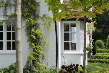 Queen of the night tulip border to driveway of white oxfordshire cottage