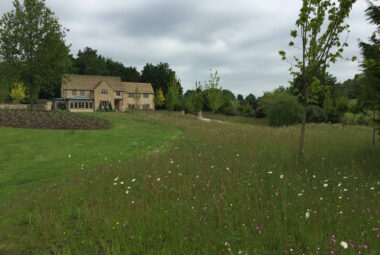 Meadow scape of the garden at pasture