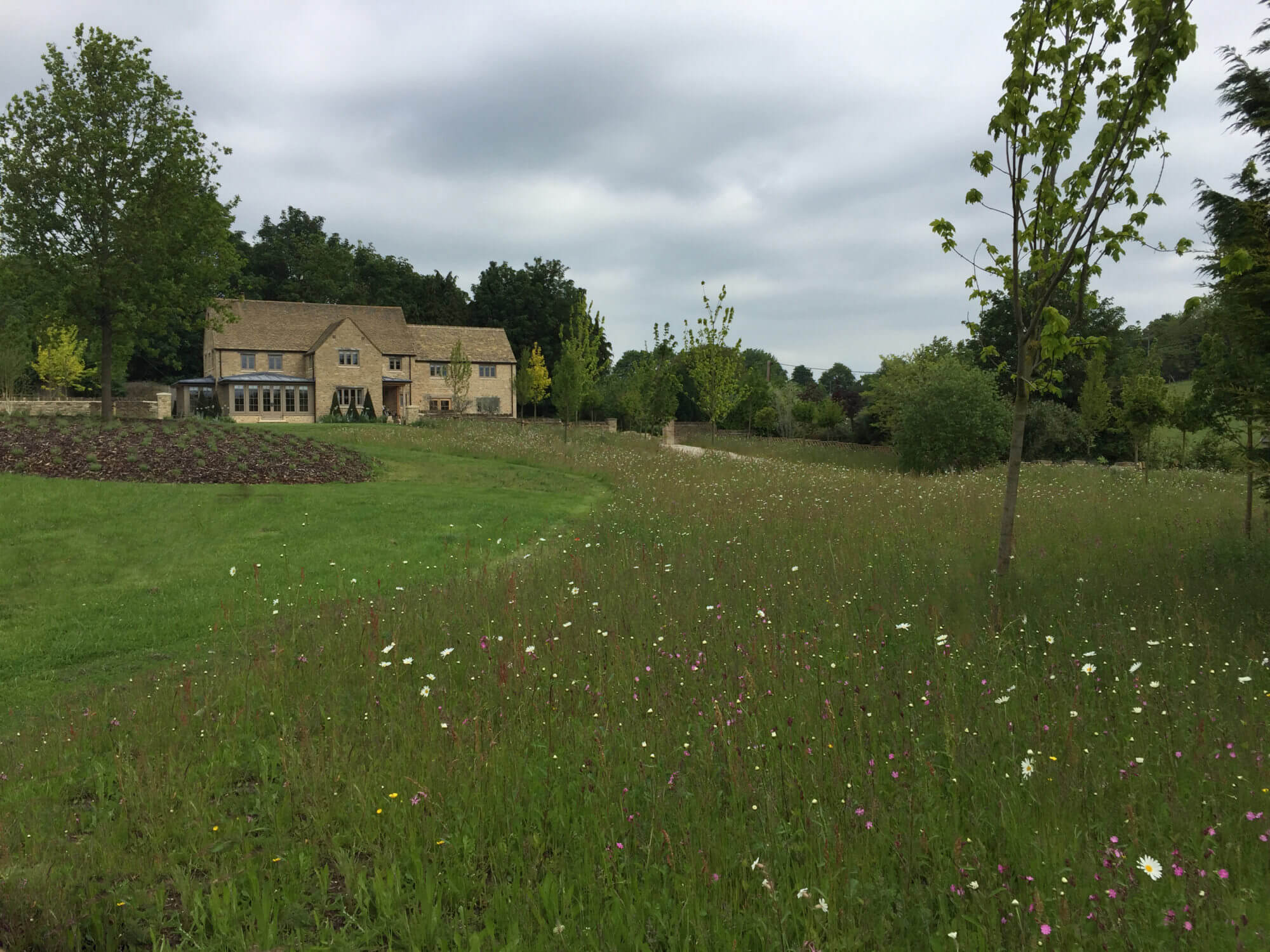 Meadow scape of the garden at pasture