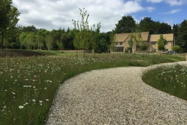 Winding path through wild flower meadow