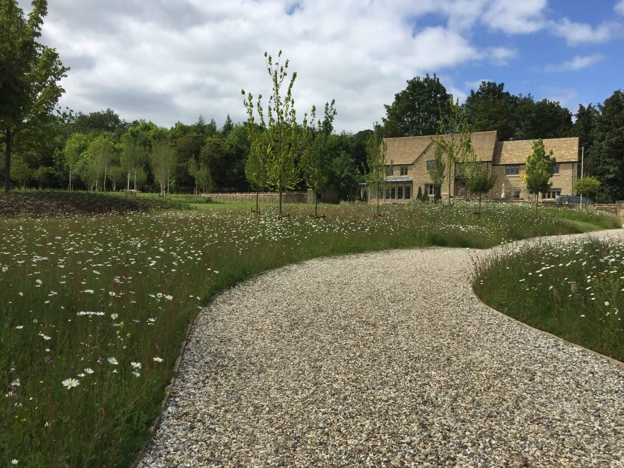 Winding path through wild flower meadow