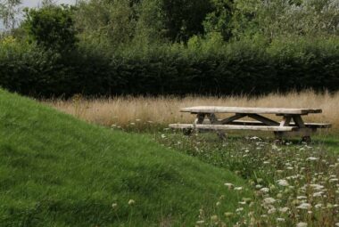 picnic bench at the bottom of green hill