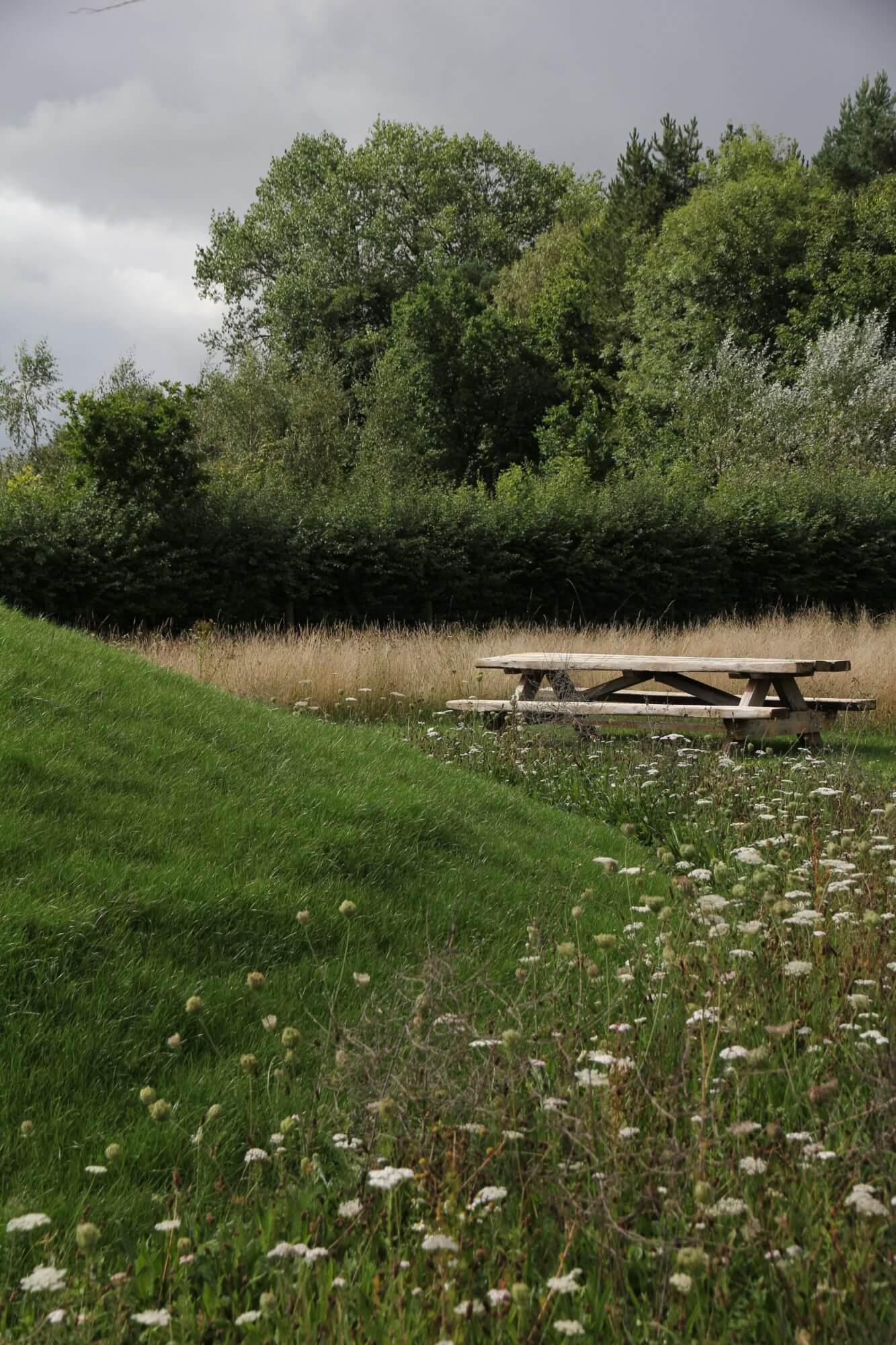 picnic bench at the bottom of green hill